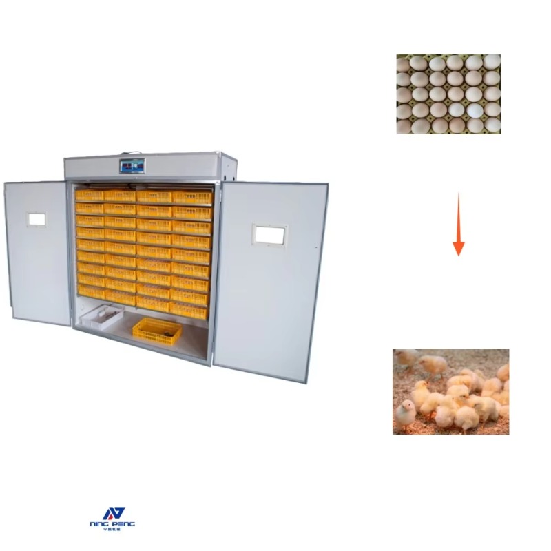 Poultry Incubator - Geflügel-Eierinkubator-Maschine Solarbetriebener Eierinkubator Brutmaschine 500-Eier-Inkubator-Maschine