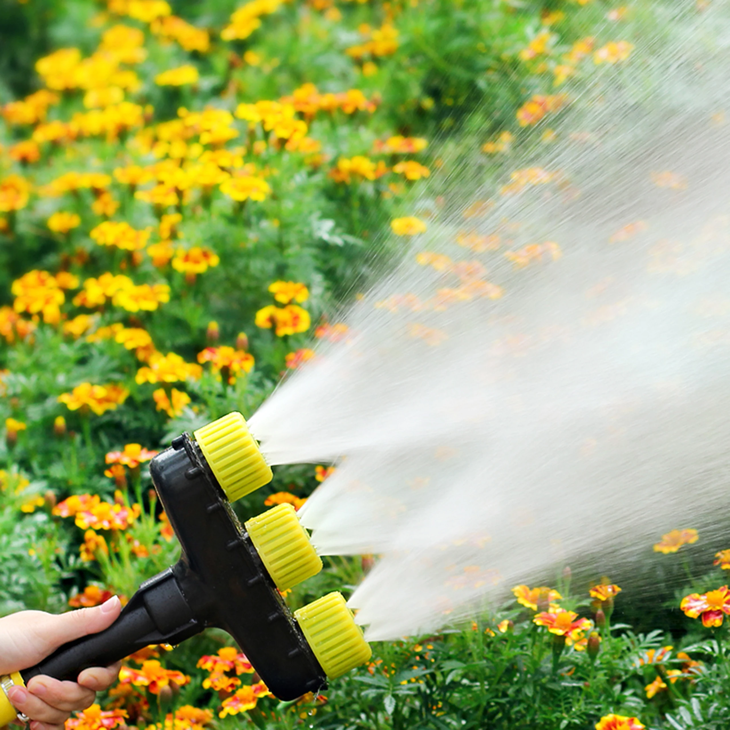 Landwirtschaft Zerstäuber Düse – Agriculture Farming Vegetables Bewertung und Preis