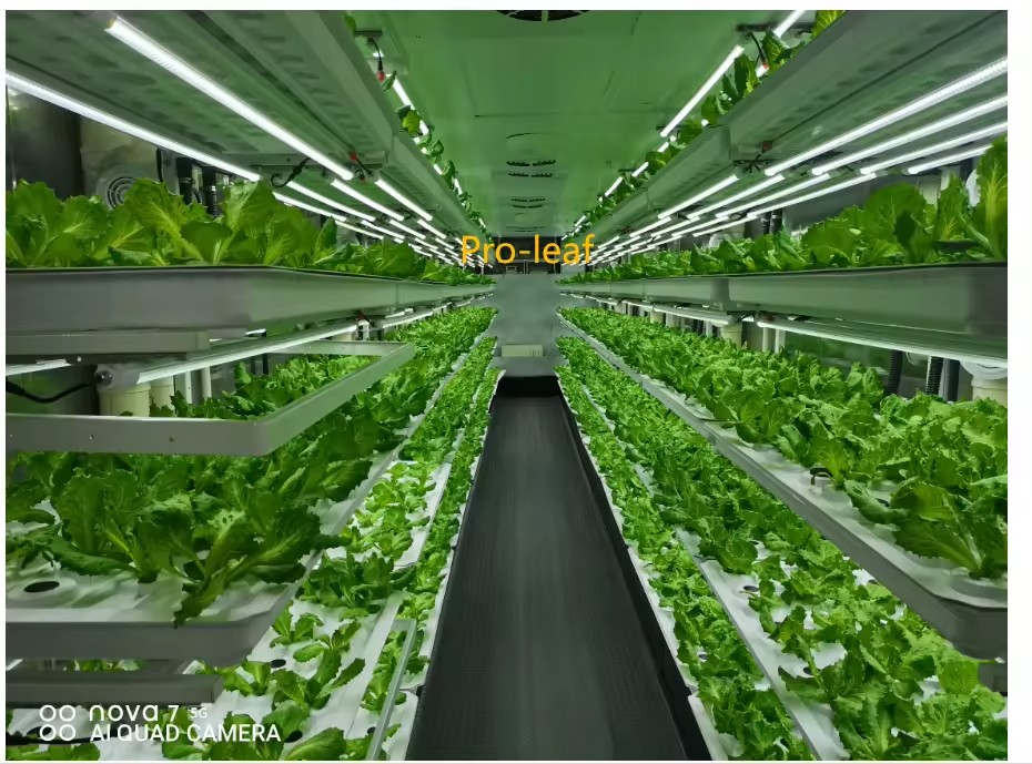 f Gewächshaus, landwirtschaftl – Agriculture Farming Vegetables Bewertung und Preis