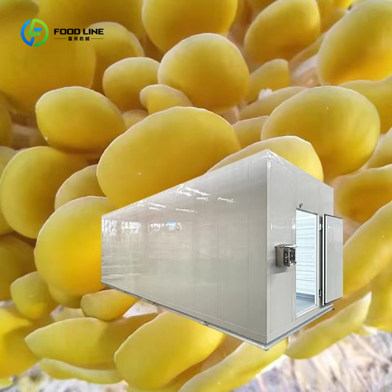 Intelligentes Pilzzucht-Kapsel – Agriculture Farming Technology Bewertung und Preis
