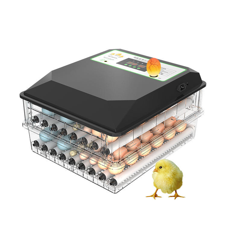 Weit verbreiteter automatische – Poultry Incubator Bewertung und Preis