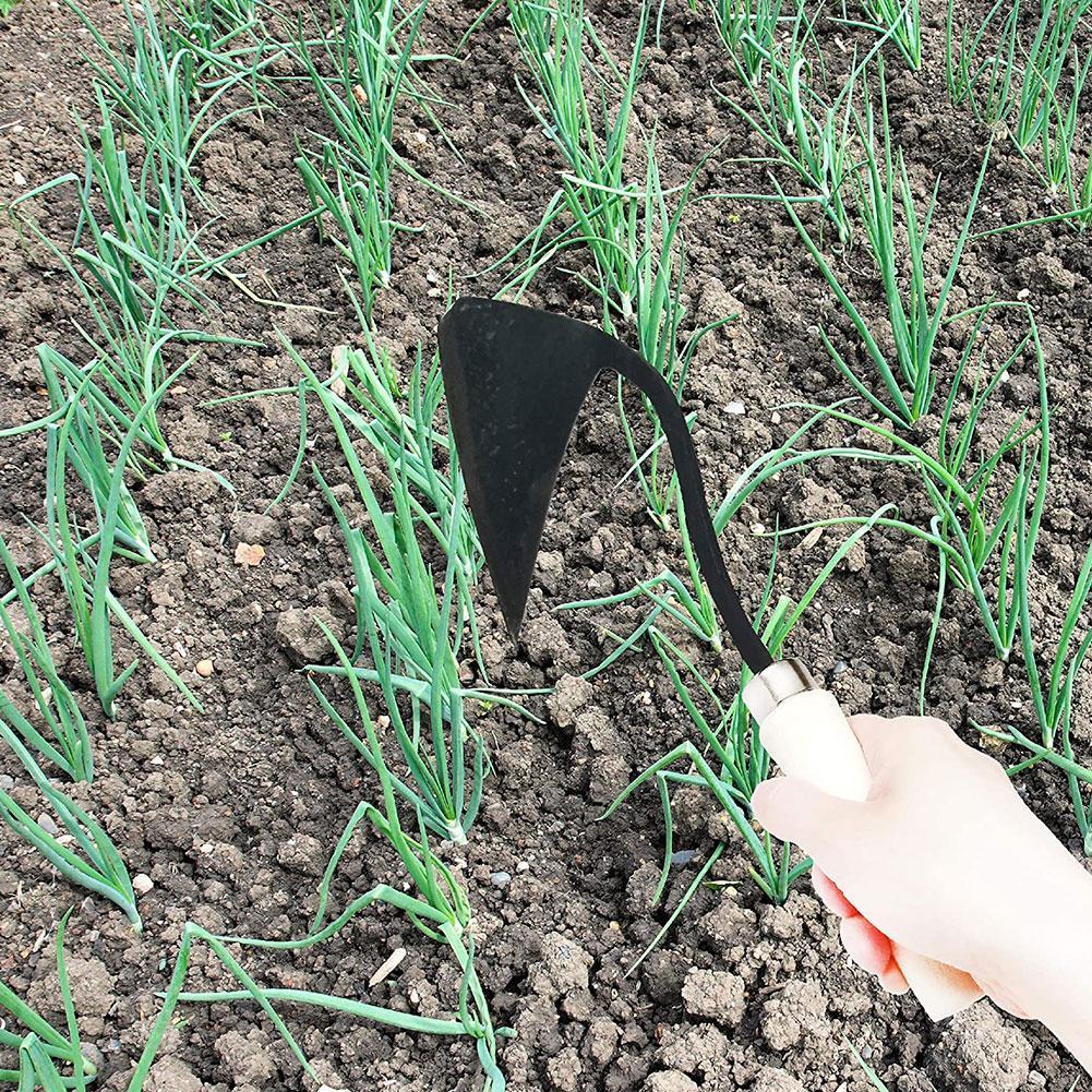 Landwirtschaft liche Werkzeuge – Agriculture Farming Vegetables Bewertung und Preis