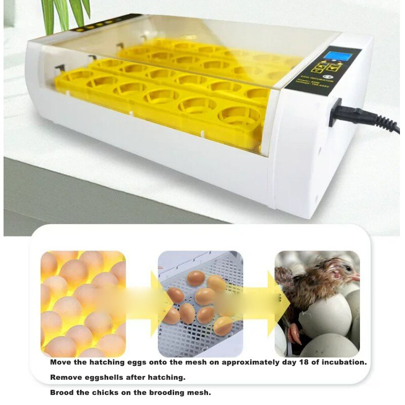Vollautomatischer Eierinkubato – Poultry Incubator Bewertung und Preis