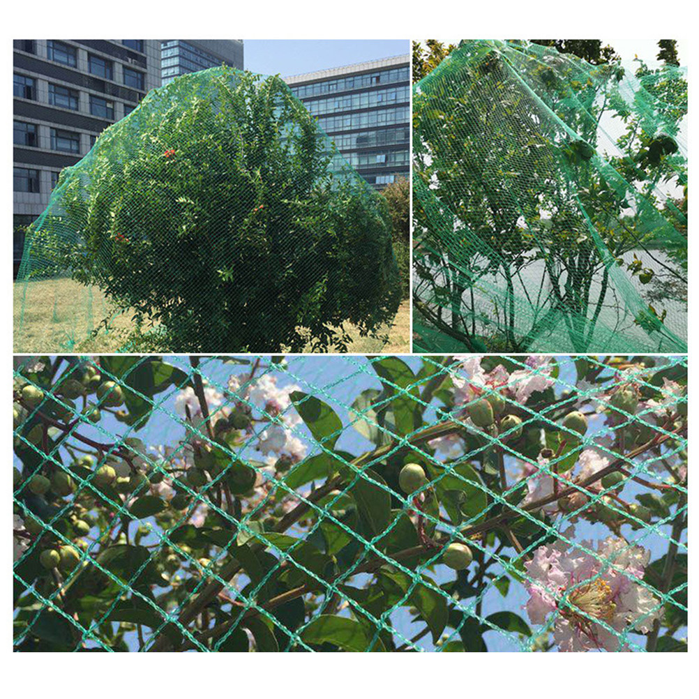 15M Anti-Vogel-Netz, grün, zum – Agriculture Farming Vegetables Bewertung und Preis