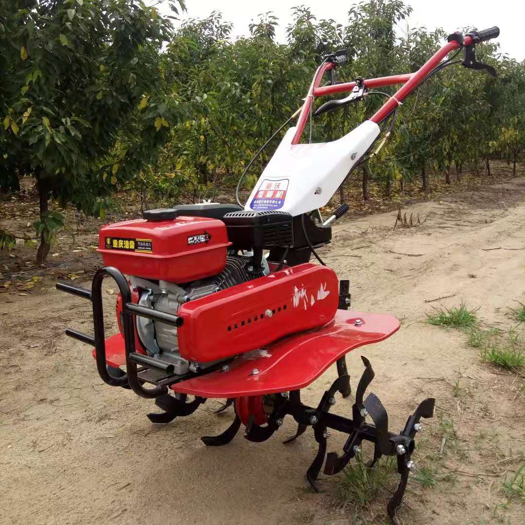 Hochproduktiver, Langlebiger A – Agriculture Farming Job Bewertung und Preis