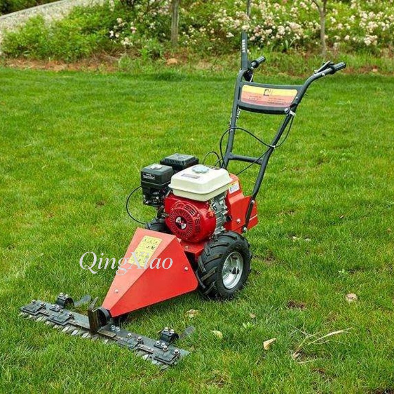 6,5 PS Viertakt-Radrasenmäher, – Agriculture Farming Job Bewertung und Preis