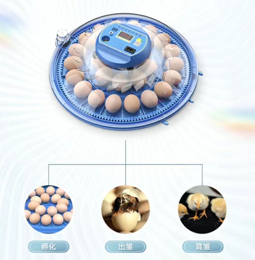 20/24/36/56/96/112 Eier Hühner – Poultry Incubator Bewertung und Preis